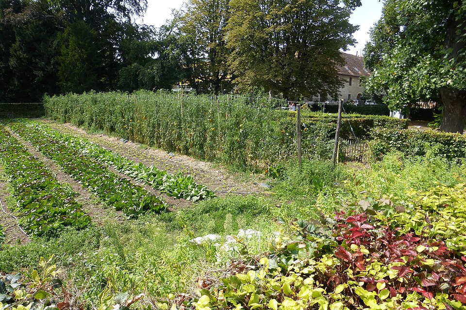 Gemüsegarten der Ferme de Budé in Genf